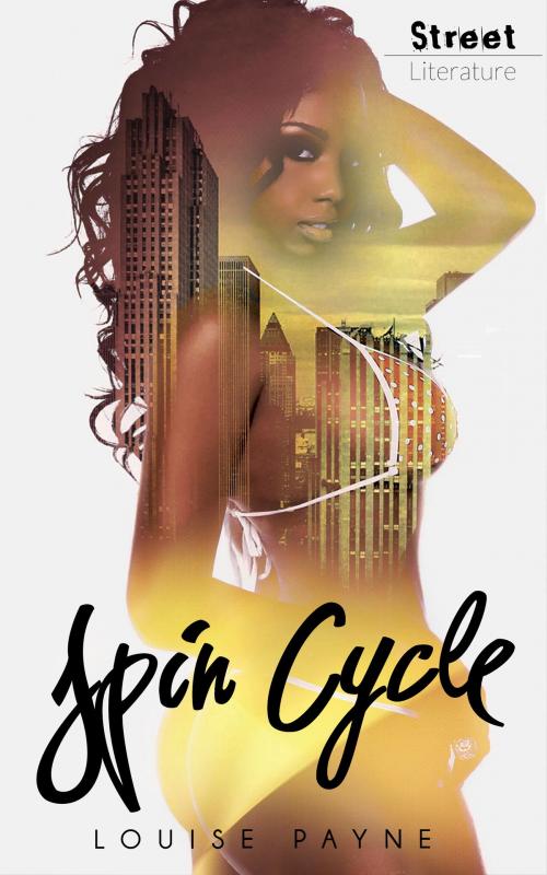 Cover of the book Spin Cycle by Louise Payne, Street Literature