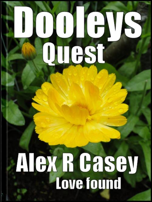 Cover of the book Dooley's Quest by Alex R Casey, Alex R Casey