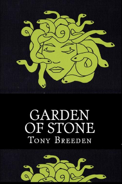 Cover of the book Garden of Stone: A Soulbright Prequel by Tony Breeden, Tony Breeden