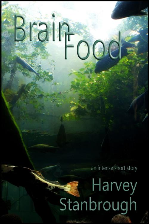 Cover of the book Brain Food by Harvey Stanbrough, StoneThread Publishing