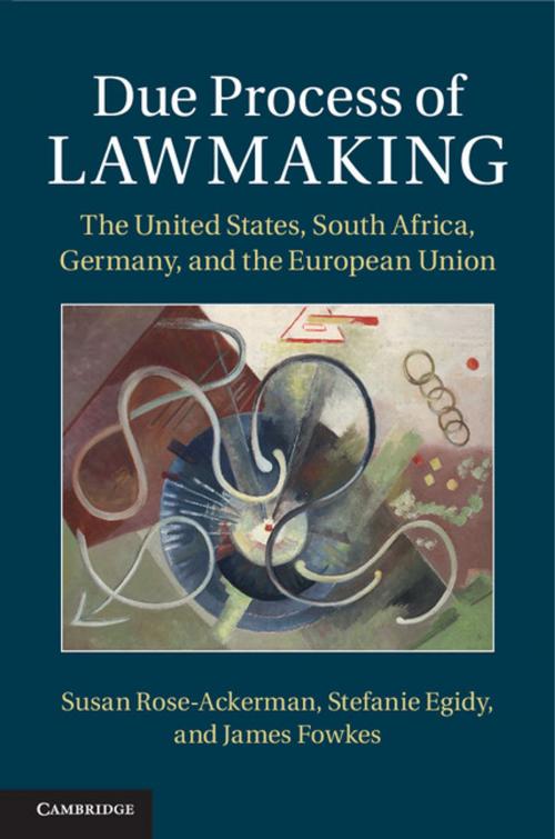 Cover of the book Due Process of Lawmaking by Susan Rose-Ackerman, Stefanie Egidy, James Fowkes, Cambridge University Press