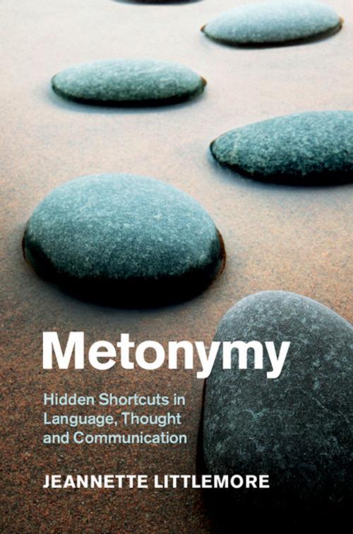 Cover of the book Metonymy by Jeannette Littlemore, Cambridge University Press