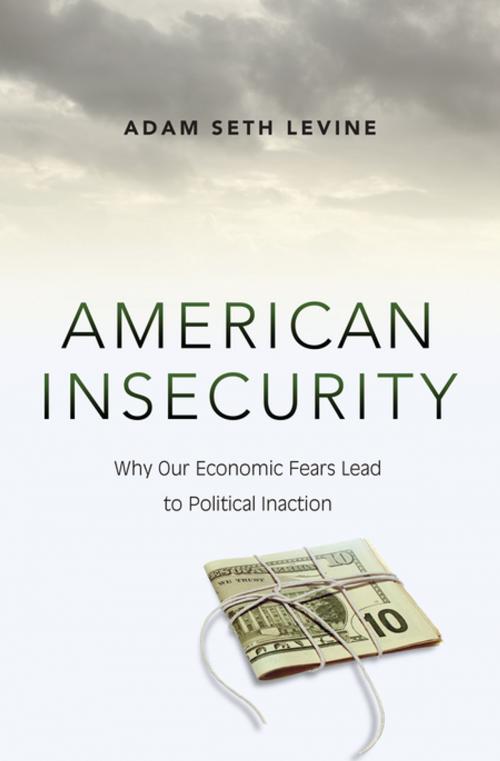 Cover of the book American Insecurity by Adam Seth Levine, Princeton University Press