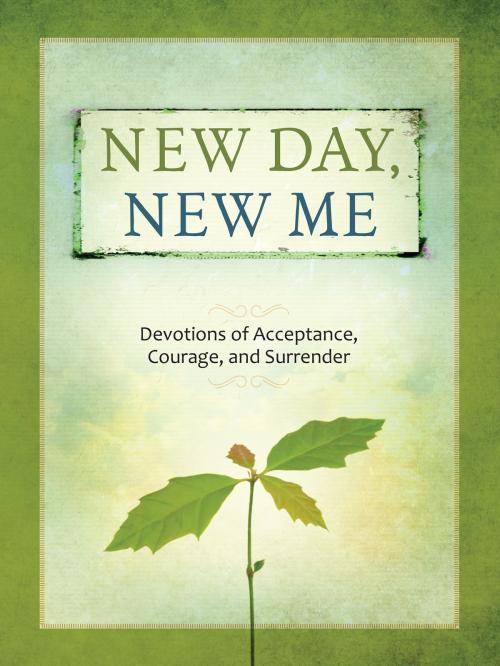 Cover of the book New Day, New Me by Mike Shea, BroadStreet Publishing Group, LLC