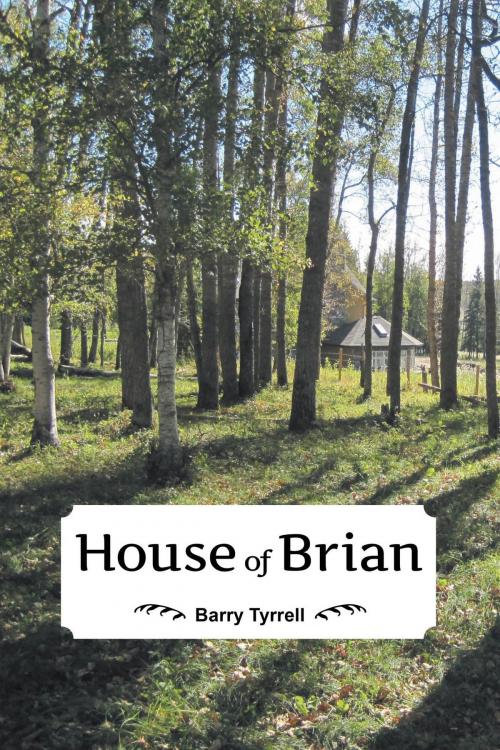 Cover of the book House of Brian by Barry Tyrrell, FriesenPress