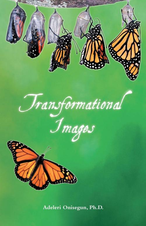 Cover of the book Transformational Images by Adeleri Onisegun, Ph.D., FriesenPress