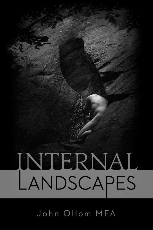 Cover of the book Internal Landscapes by John Ollom MFA, BookBaby