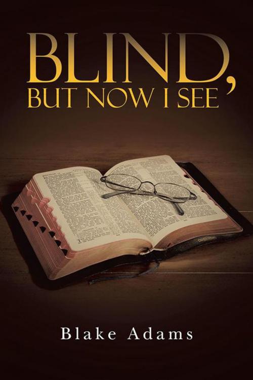 Cover of the book Blind, but Now I See by Blake Adams, WestBow Press