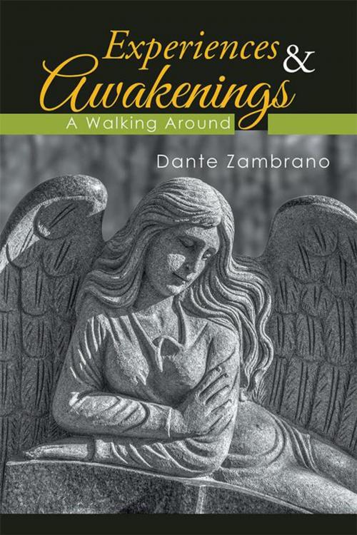 Cover of the book Experiences & Awakenings by Dante Zambrano, Xlibris US