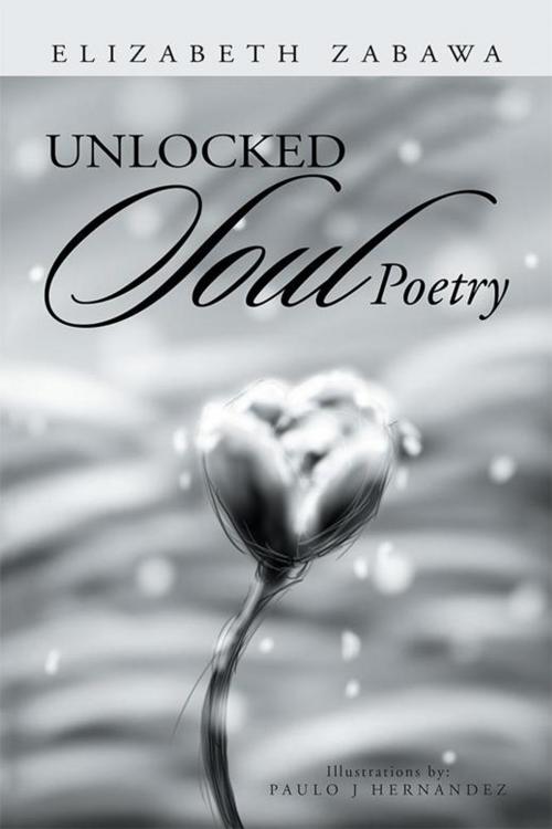 Cover of the book Unlocked Soul Poetry by Elizabeth Zabawa, Xlibris US