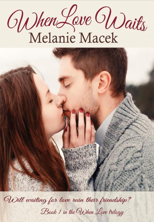 Cover of the book When Love Waits by Melanie Macek, Melanie Macek