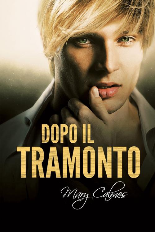 Cover of the book Dopo il tramonto by Mary Calmes, Dreamspinner Press