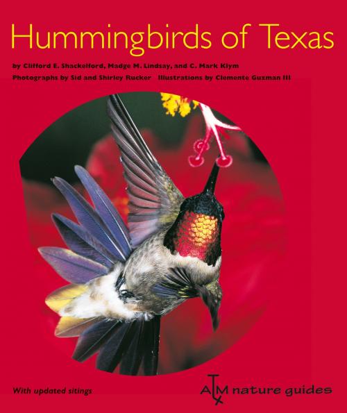 Cover of the book Hummingbirds of Texas by Clifford E. Shackelford, C. Mark Klym, Madge M. Lindsay, Sid and Shirley Rucker, Texas A&M University Press