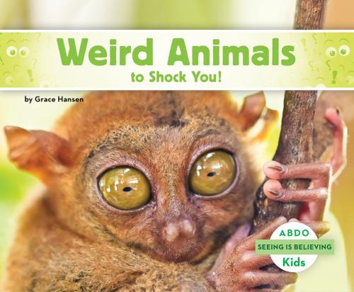 Cover of the book Weird Animals to Shock You! by Grace Hansen, ABDO