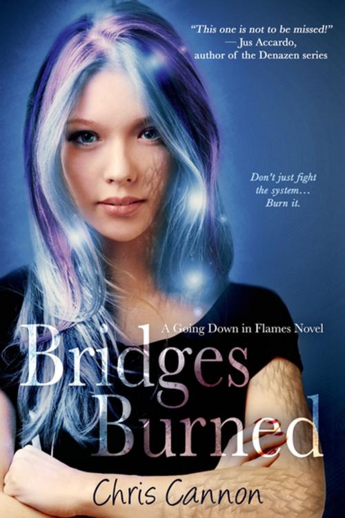 Cover of the book Bridges Burned by Chris Cannon, Entangled Publishing, LLC