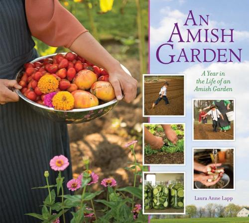 Cover of the book Amish Garden by Laura A. Lapp, Good Books