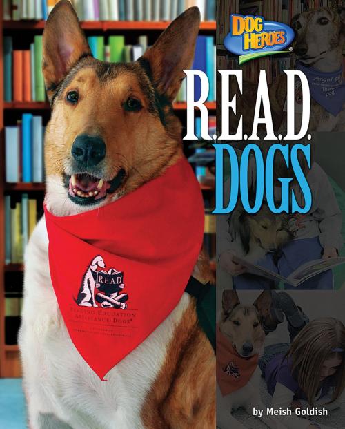 Cover of the book R.E.A.D. Dogs by Meish Goldish, Bearport Publishing