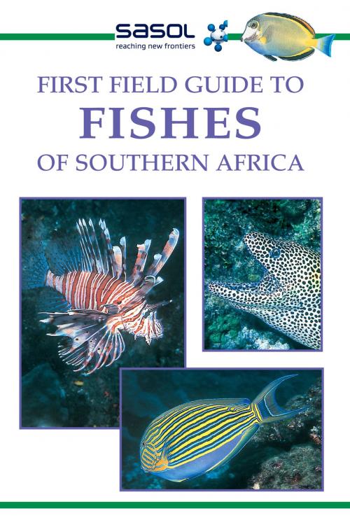 Cover of the book First Field Guide to Fishes of Southern Africa by Rudy van der Elst, Penguin Random House South Africa