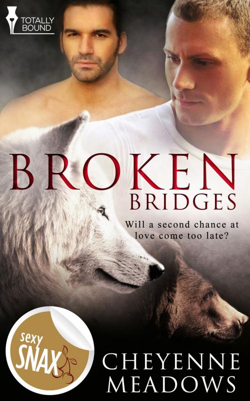 Cover of the book Broken Bridges by Cheyenne Meadows, Totally Entwined Group Ltd