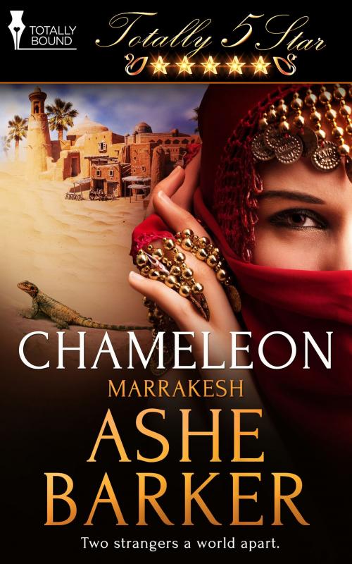 Cover of the book Chameleon by Ashe Barker, Totally Entwined Group Ltd