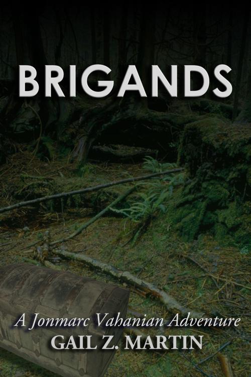 Cover of the book Brigands by Gail Z. Martin, DreamSpinner Communications