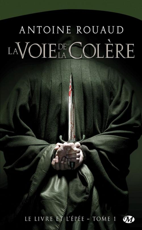 Cover of the book La Voie de la colère by Antoine Rouaud, Bragelonne