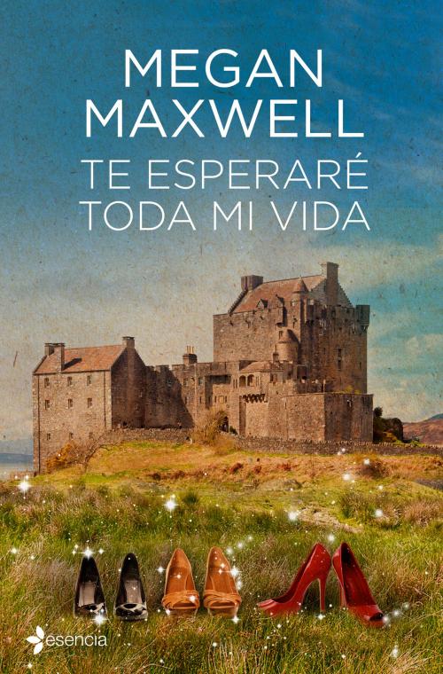 Cover of the book Te esperaré toda mi vida by Megan Maxwell, Grupo Planeta