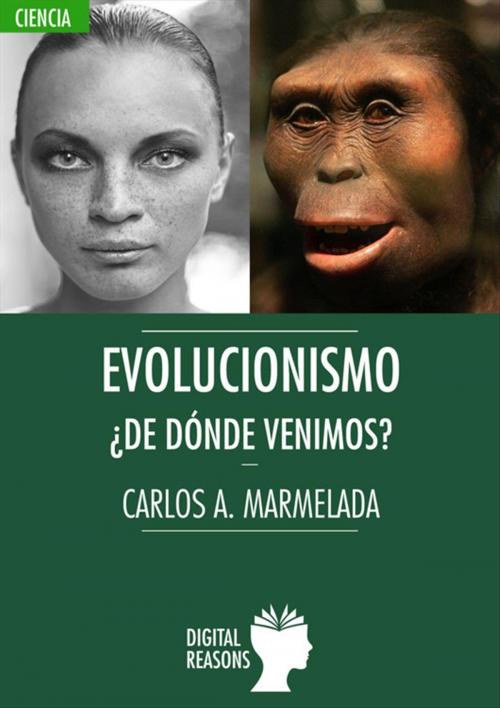 Cover of the book Evolucionismo. ¿De dónde venimos? by Carlos Alberto Marmelada, Digital Reasons