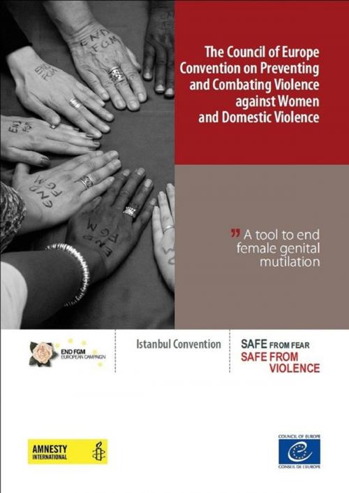Cover of the book The Council of Europe Convention on Preventing and Combating Violence against Women and Domestic Violence - A tool to end female genital mutilation by Collectif, Conseil de l'Europe