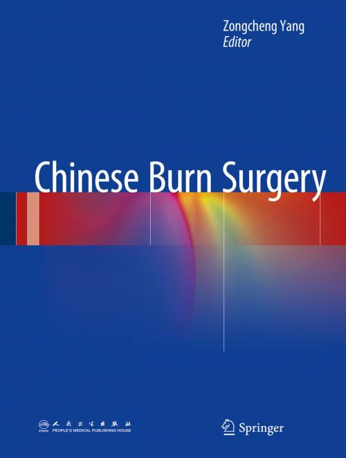 Cover of the book Chinese Burn Surgery by , Springer Netherlands