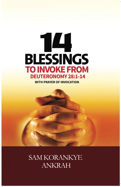 Cover of the book 14 Blessings to Invoke by Sam Korankye Ankrah, Royalhouse Chapel International
