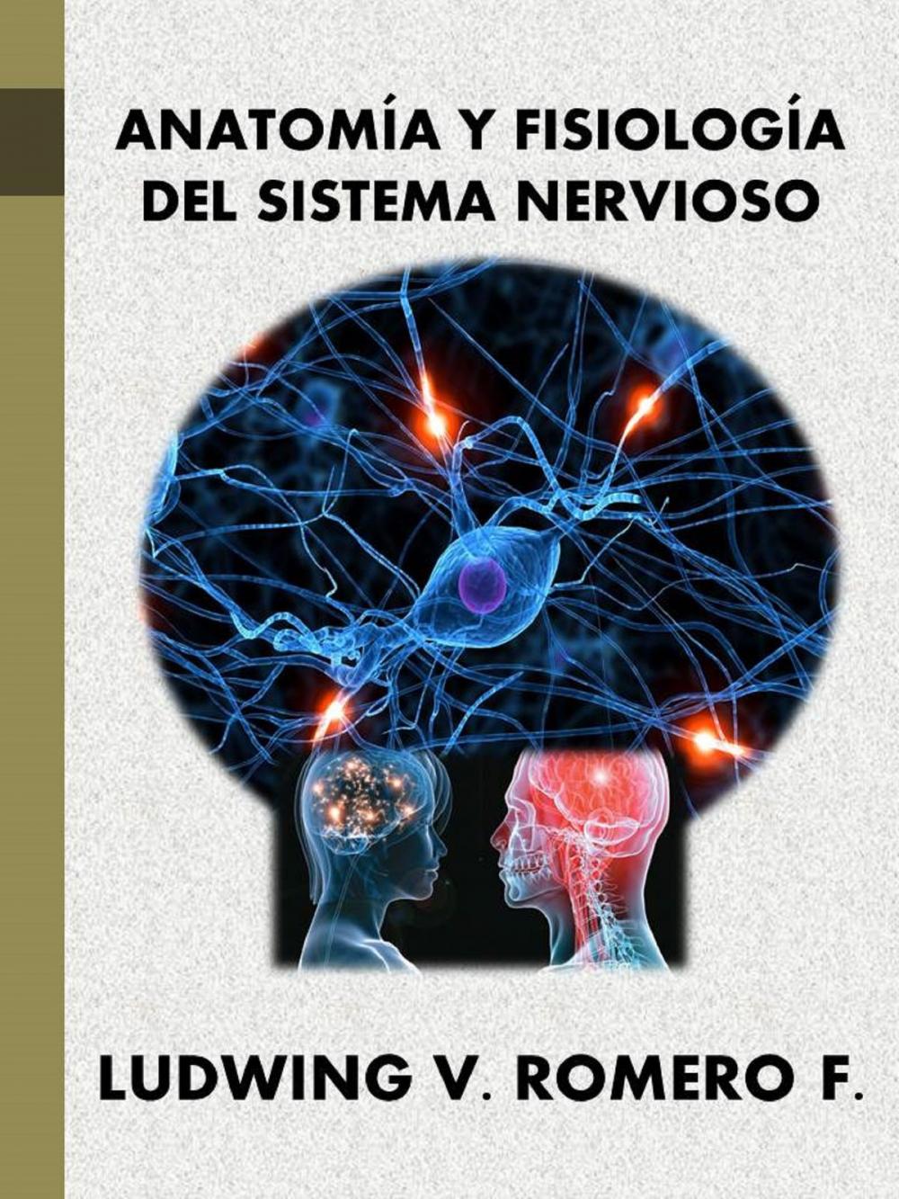 Big bigCover of Anatomia y Fisiología del Sistema Nervioso