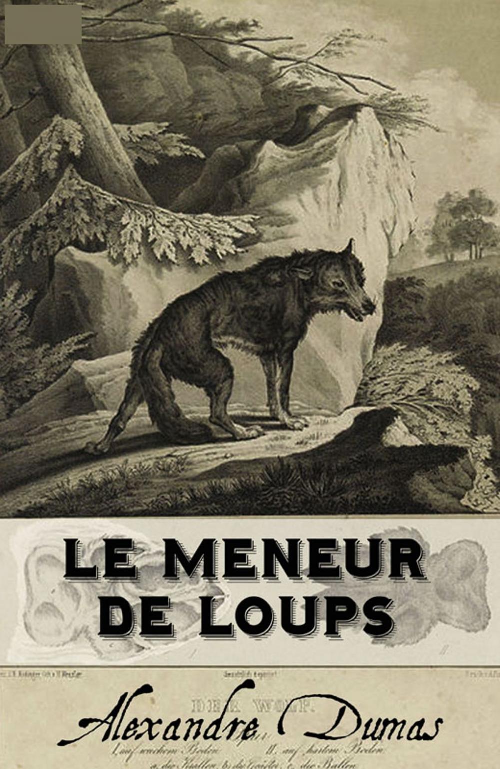 Big bigCover of Le Meneur De Loups (Annoté)