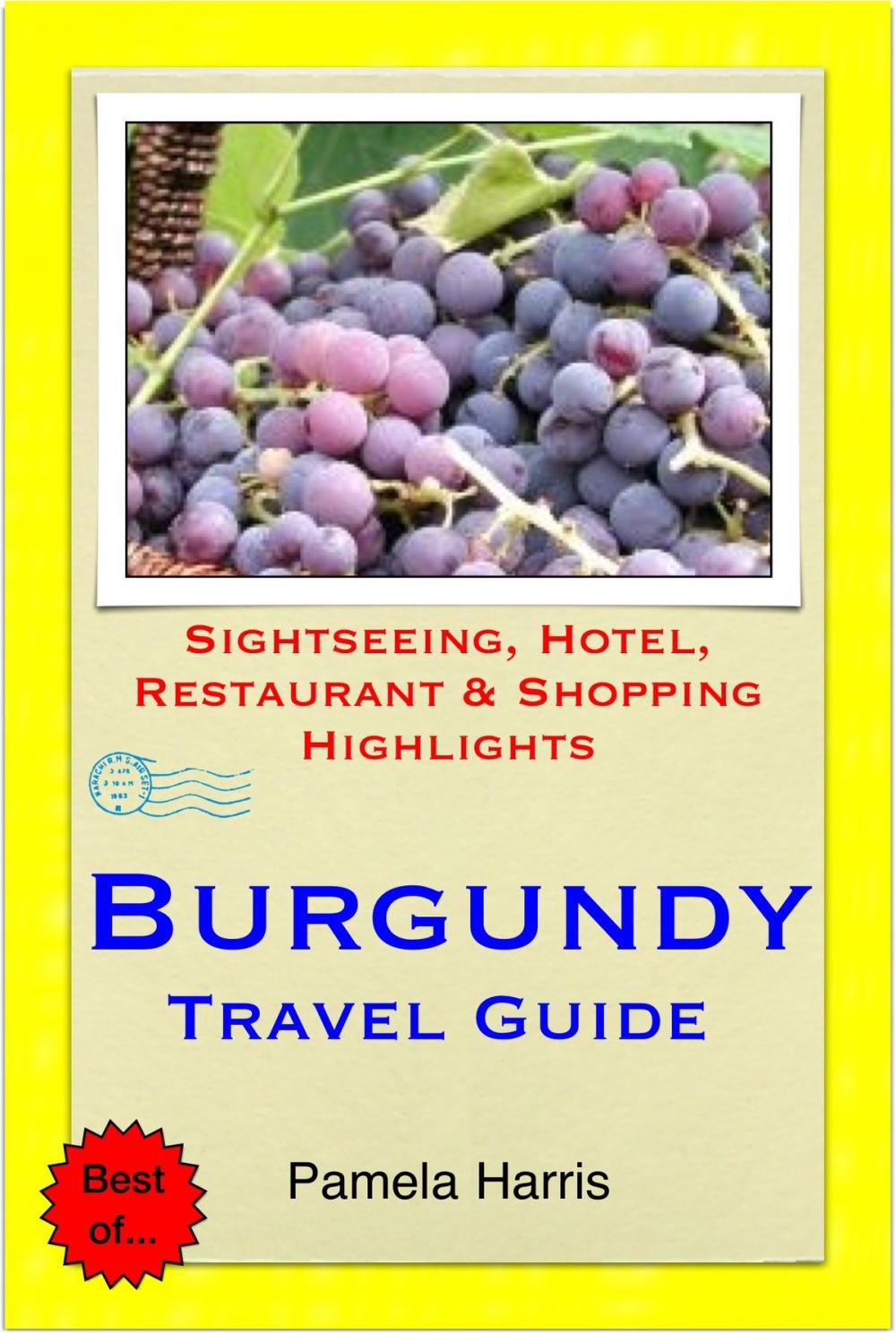 Big bigCover of Burgundy, France Travel Guide - Sightseeing, Hotel, Restaurant & Shopping Highlights (Illustrated)