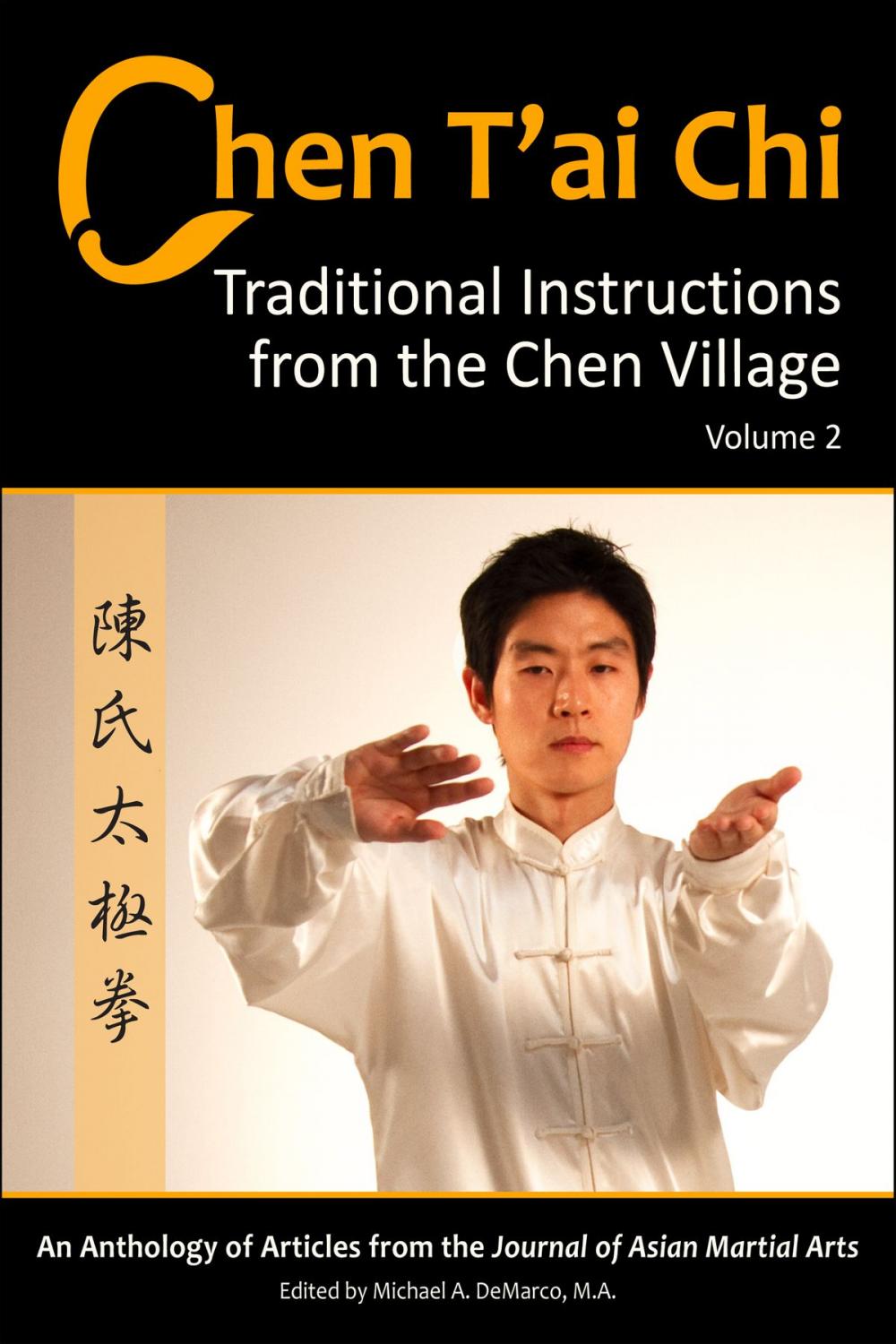 Big bigCover of Chen T’ai Chi: Traditional Instructions from the Chen Village, Vol. 2