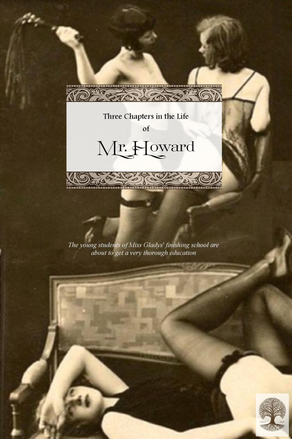 Big bigCover of Three Chapters in the Life of Mr. Howard