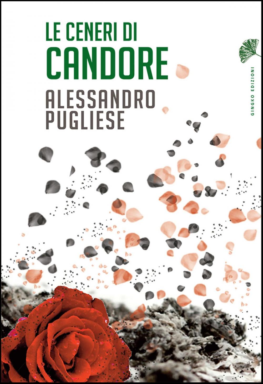 Big bigCover of Le ceneri di Candore