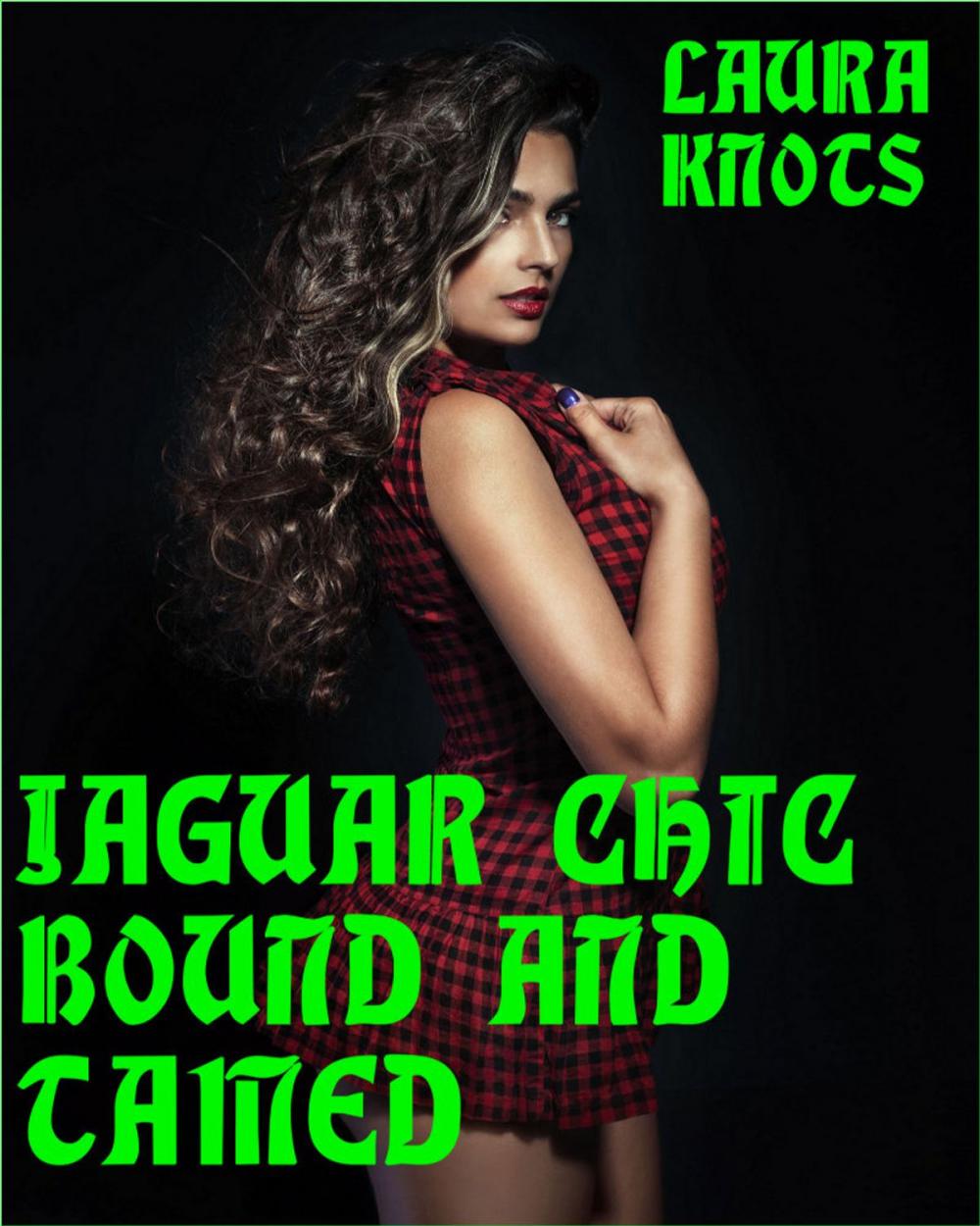 Big bigCover of Jaguar Chic Bound and Tamed
