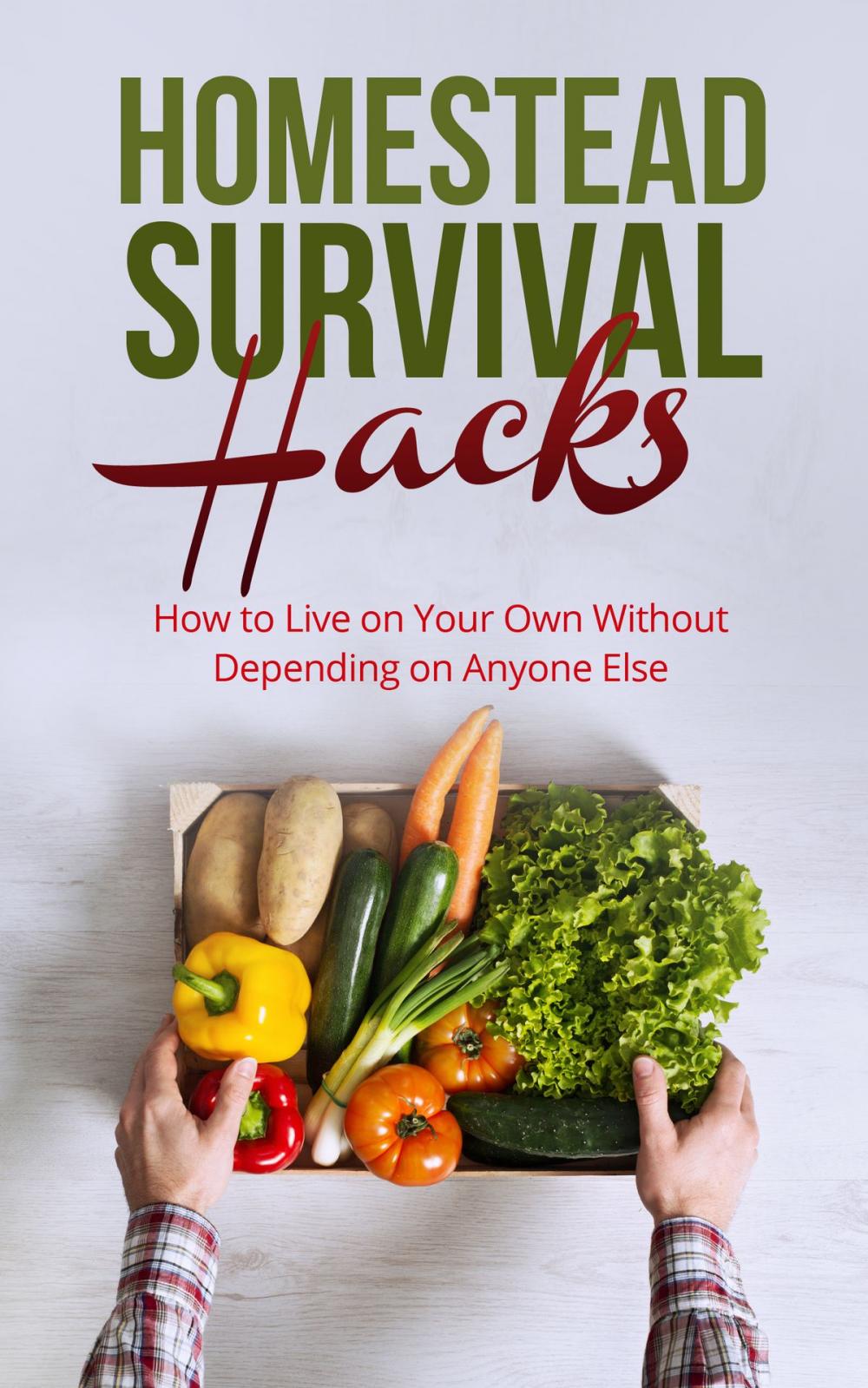 Big bigCover of Homestead Survival Hacks