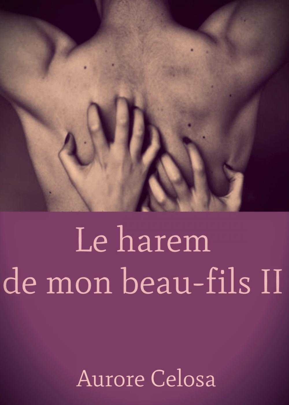 Big bigCover of Le Harem de mon beau-fils