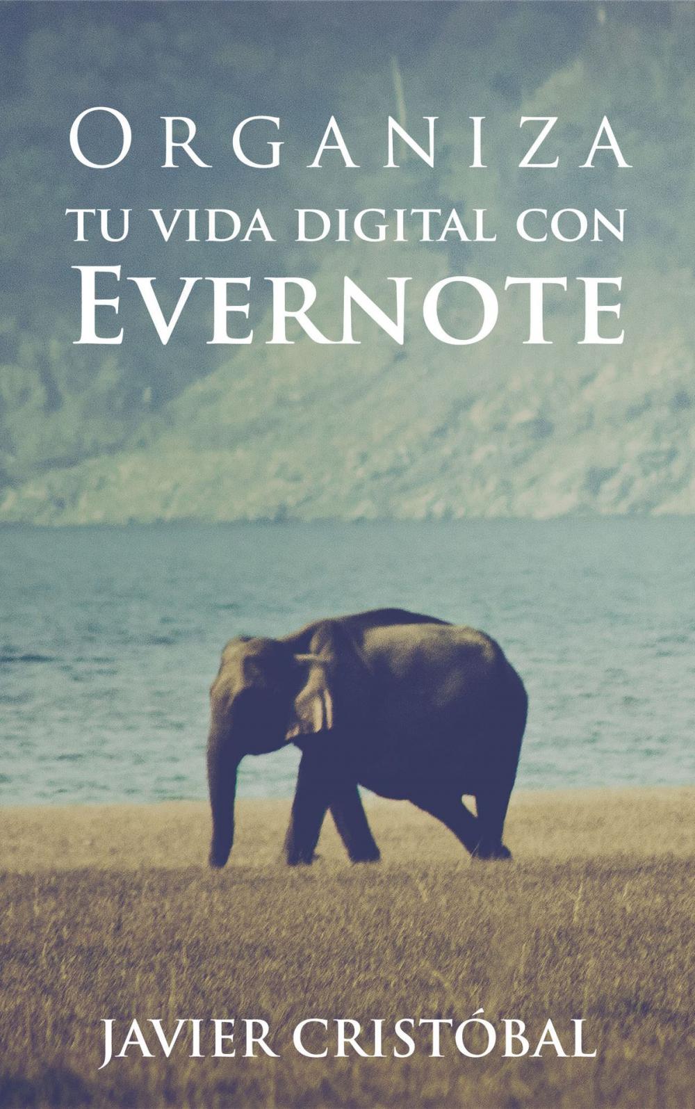 Big bigCover of Organiza tu vida digital con Evernote