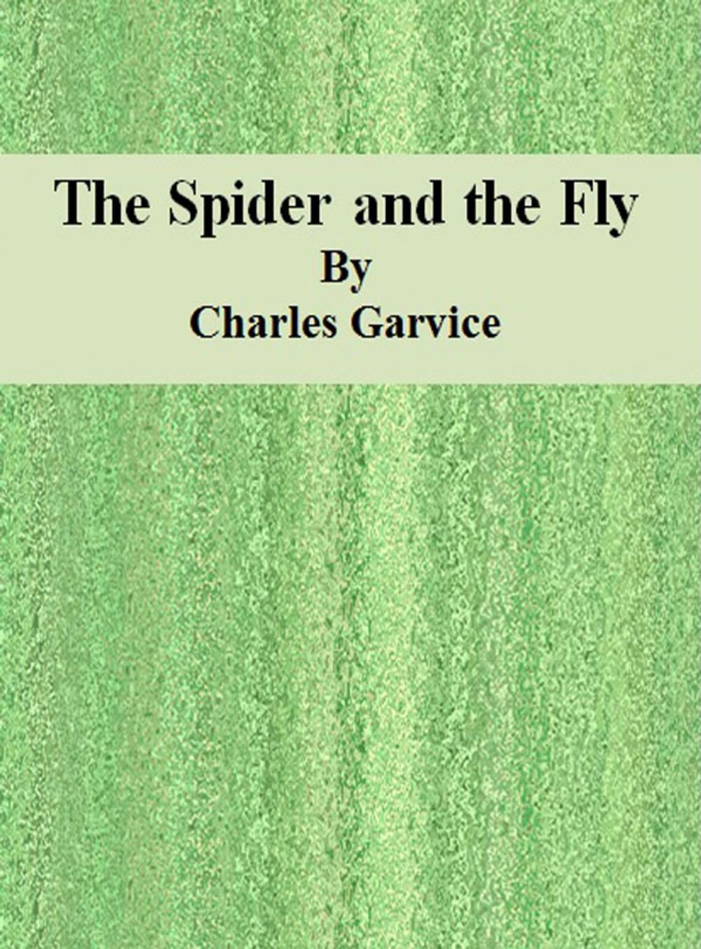 Big bigCover of The Spider and the Fly