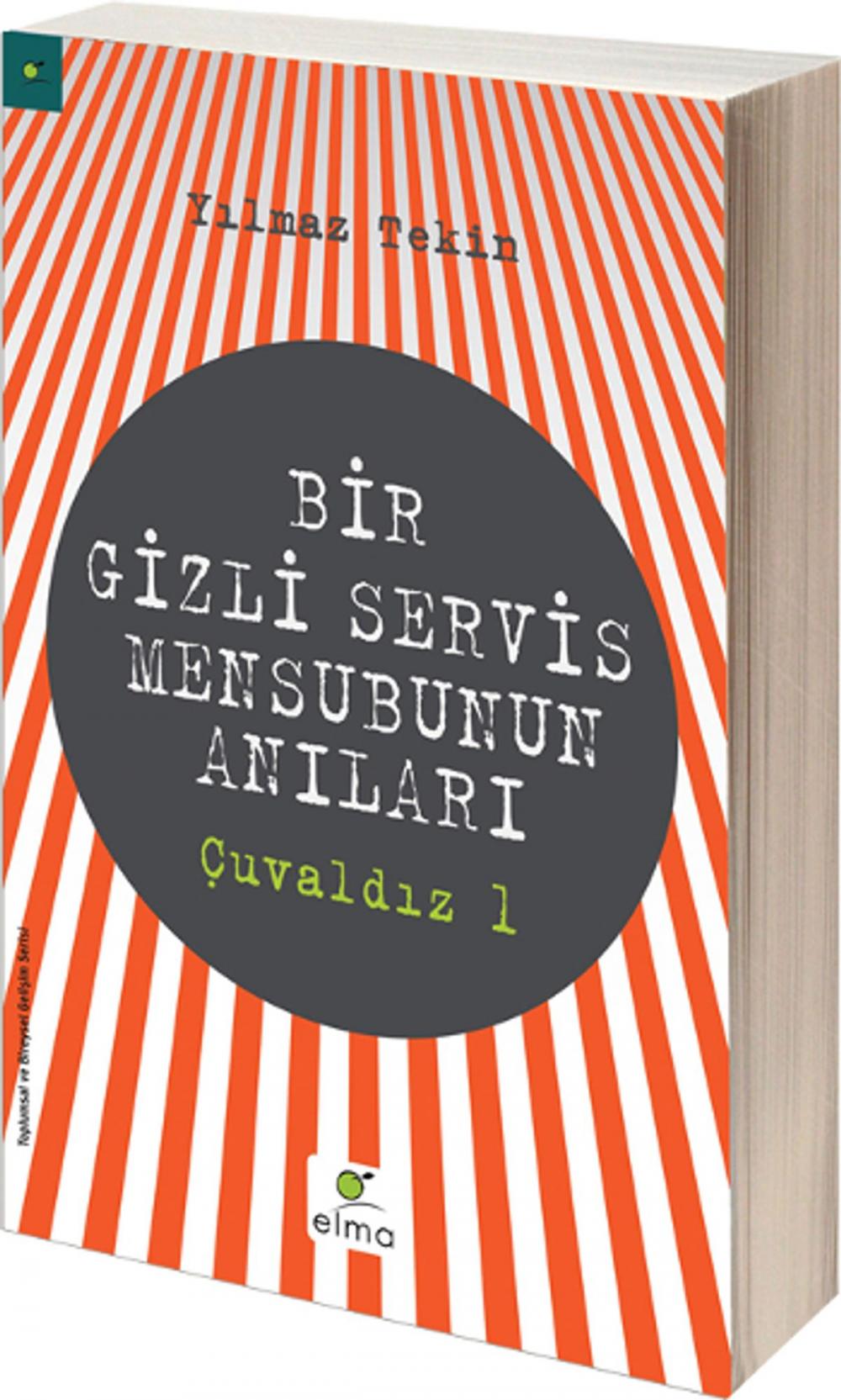 Big bigCover of Bir Gizli Servis Mensubunun Anıları