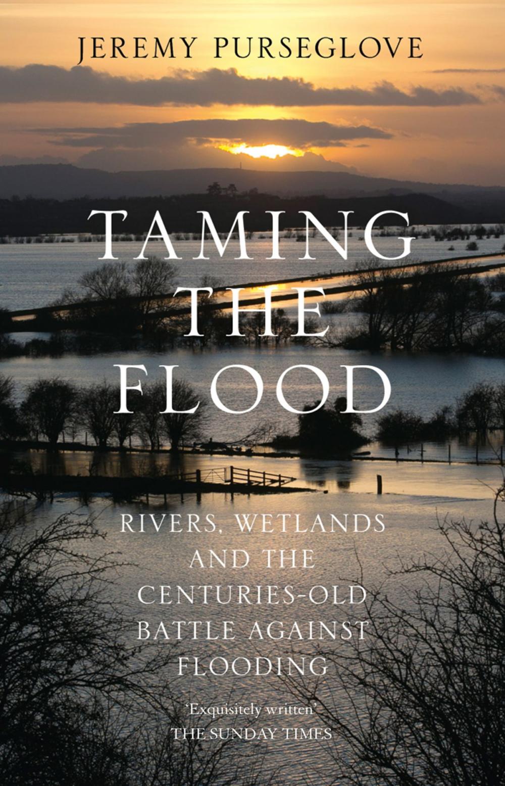 Big bigCover of Taming the Flood: Rivers, Wetlands and the Centuries-Old Battle Against Flooding