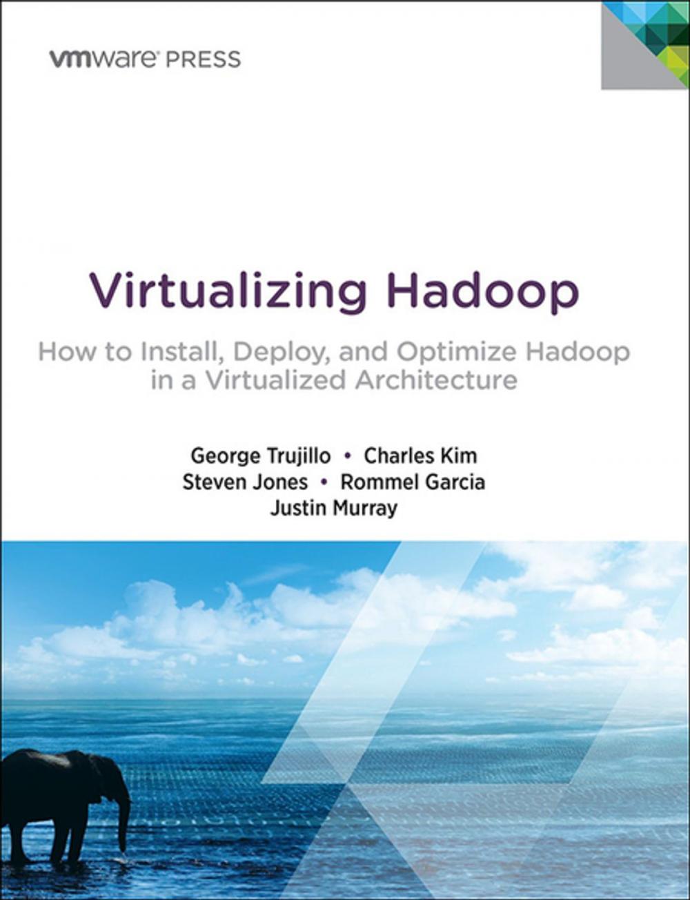 Big bigCover of Virtualizing Hadoop