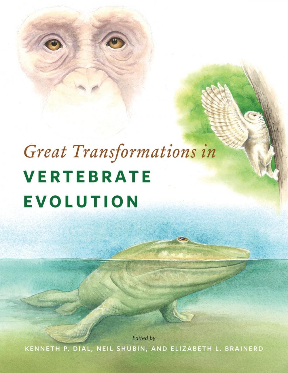 Big bigCover of Great Transformations in Vertebrate Evolution