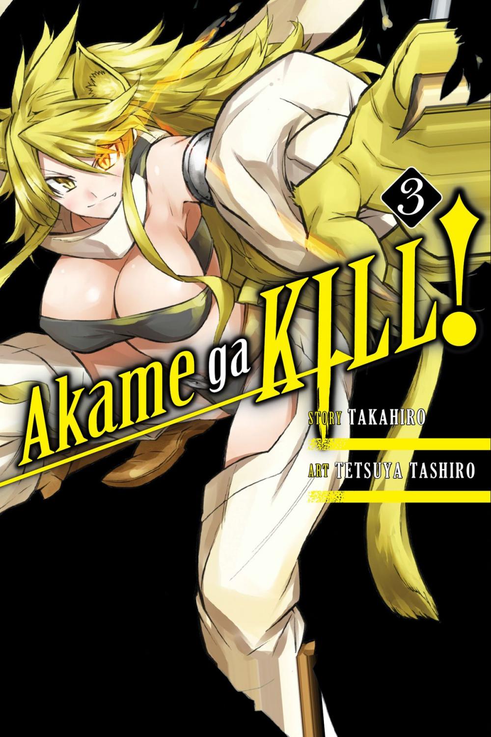 Big bigCover of Akame ga KILL!, Vol. 3