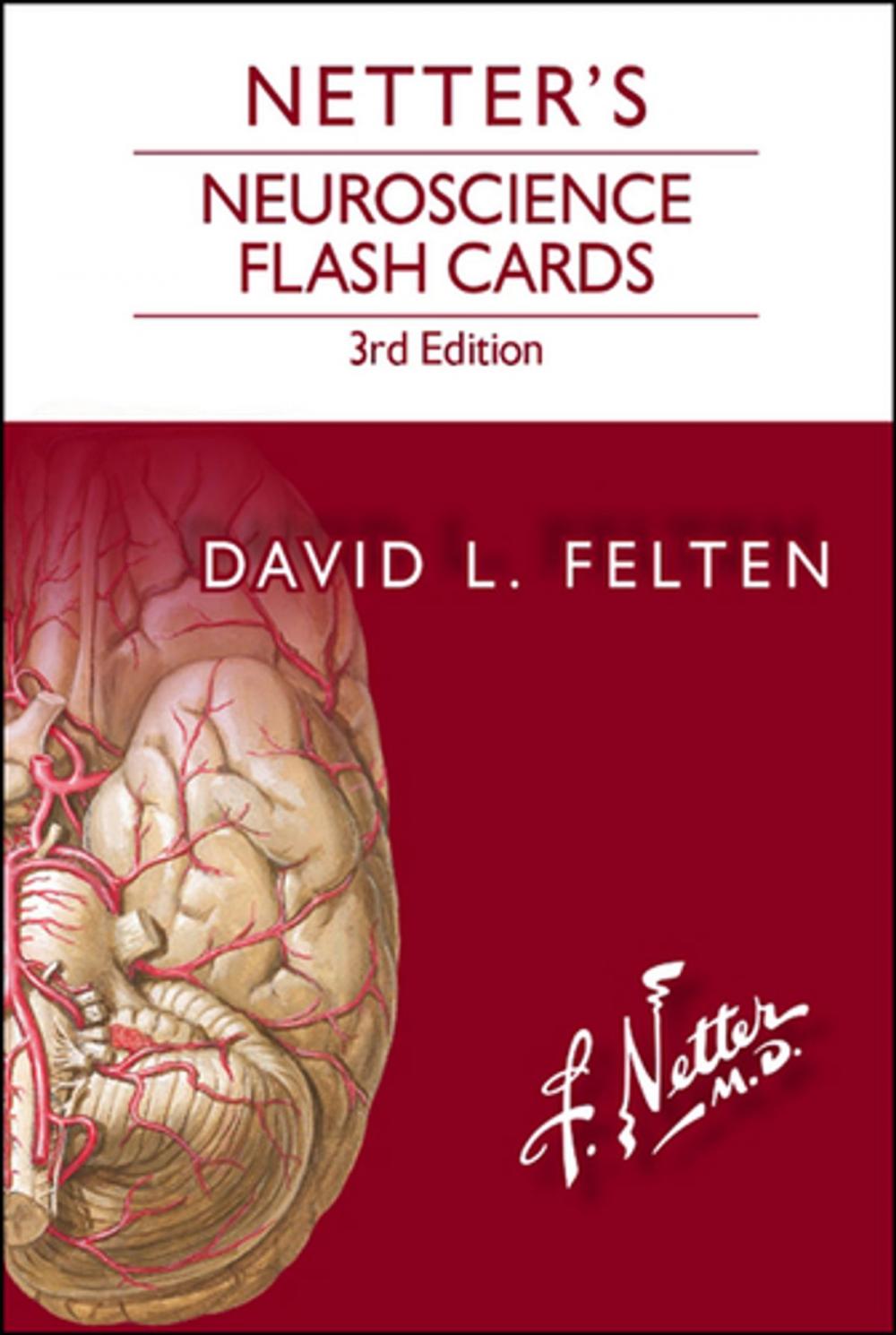 Big bigCover of Netter's Neuroscience Flash Cards E-Book