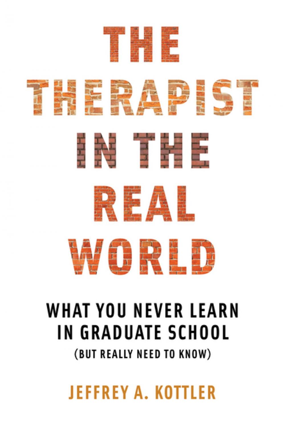 Big bigCover of The Therapist in the Real World: What You Never Learn in Graduate School (But Really Need to Know)