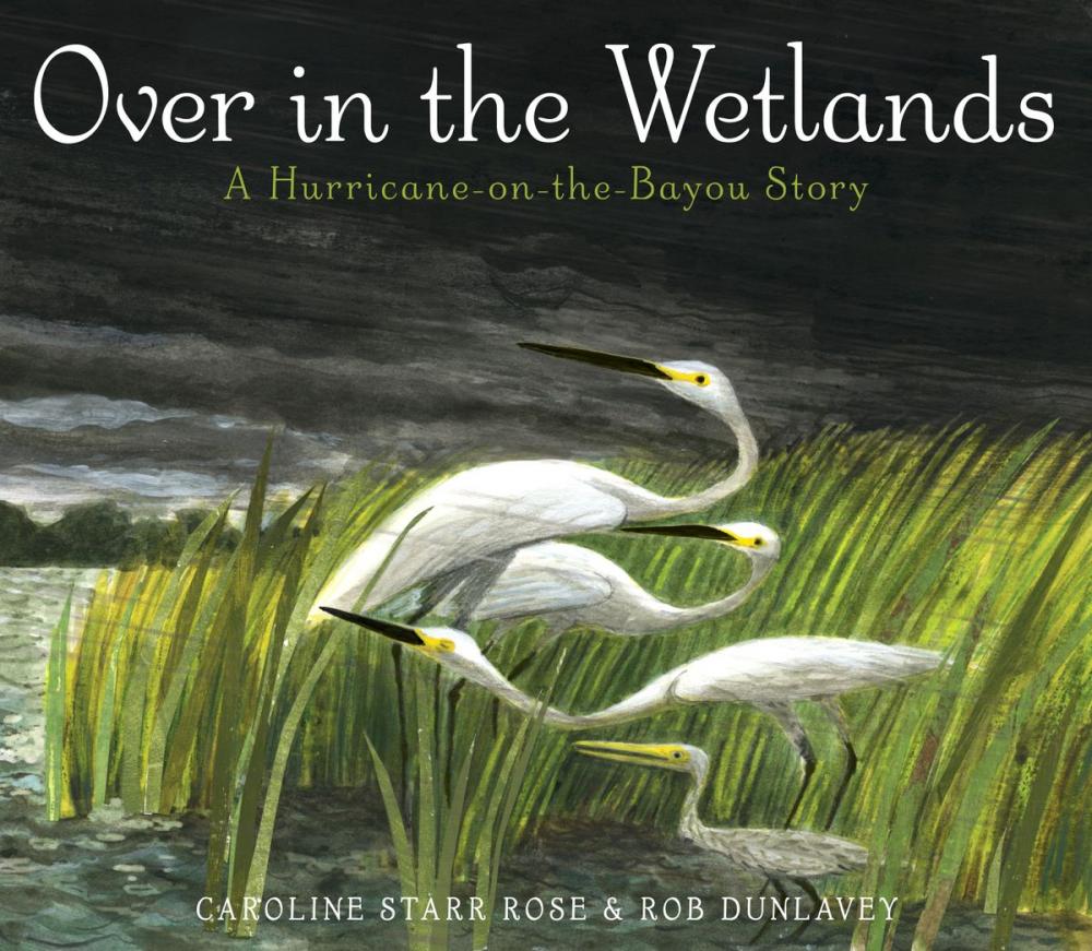 Big bigCover of Over in the Wetlands